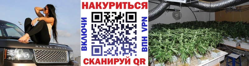 Цена Болгар Cocaine  Alpha PVP  ГАШ 
