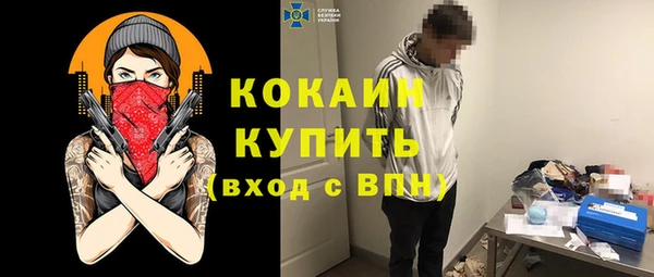 гидра Алексеевка
