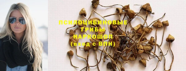 эйфоретик Абинск