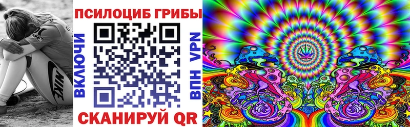 Псилоцибиновые грибы GOLDEN TEACHER Болгар