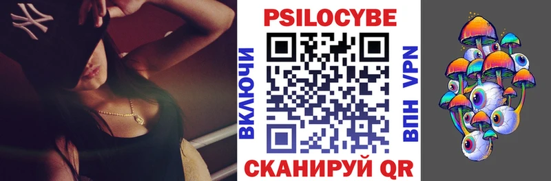 Псилоцибиновые грибы Psilocybe darknet какой сайт Болгар
